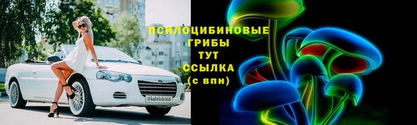 твердый Алексин