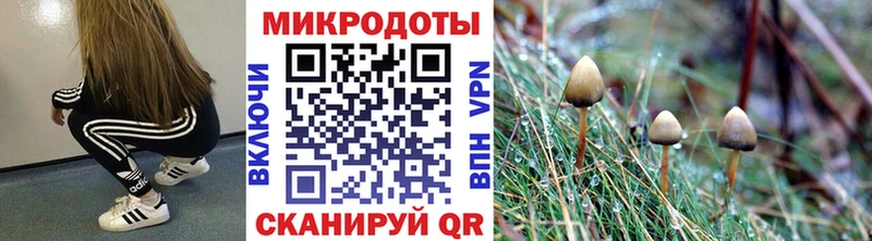 Галлюциногенные грибы Psilocybe  KRAKEN маркетплейс  Арсеньев 